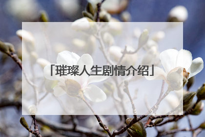 璀璨人生剧情介绍