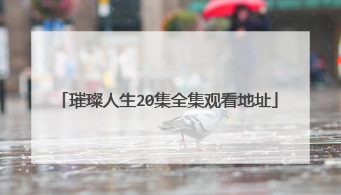 璀璨人生20集全集观看地址