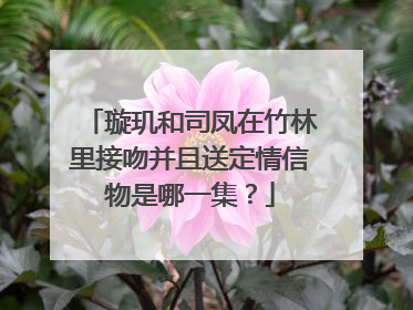 璇玑和司凤在竹林里接吻并且送定情信物是哪一集？
