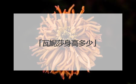 瓦妮莎身高多少