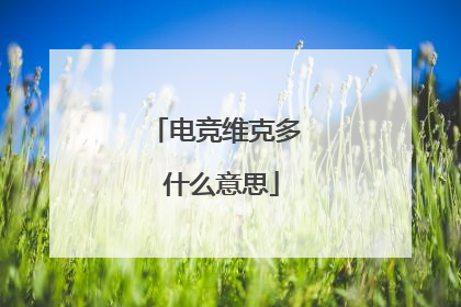 电竞维克多 什么意思