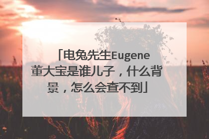 电兔先生Eugene董大宝是谁儿子，什么背景，怎么会查不到