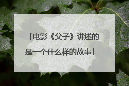电影《父子》讲述的是一个什么样的故事