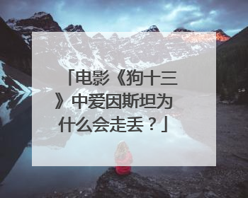 电影《狗十三》中爱因斯坦为什么会走丢？