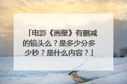 电影《画壁》有删减的镜头么？是多少分多少秒？是什么内容？
