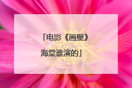 电影《画壁》海棠谁演的