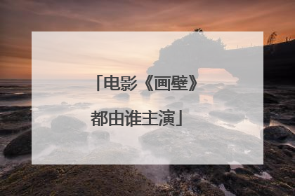 电影《画壁》都由谁主演