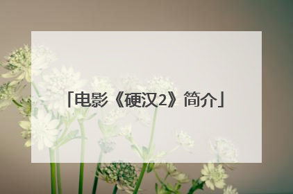 电影《硬汉2》简介