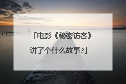 电影《秘密访客》讲了个什么故事?