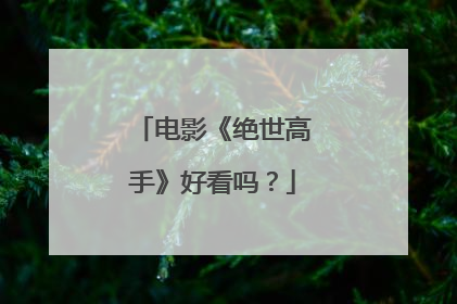 电影《绝世高手》好看吗?