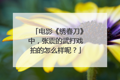 电影《绣春刀》中,张震的武打戏拍的怎么样呢?
