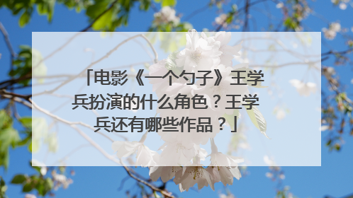 电影《一个勺子》王学兵扮演的什么角色？王学兵还有哪些作品？