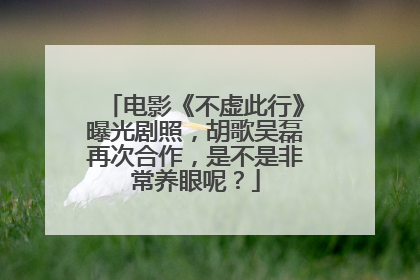 电影《不虚此行》曝光剧照，胡歌吴磊再次合作，是不是非常养眼呢？