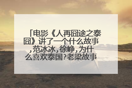 电影《人再囧途之泰囧》讲了一个什么故事,范冰冰,徐峥,为什么喜欢泰国?老梁故事会里分析的对吗？