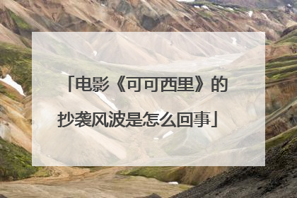 电影《可可西里》的抄袭风波是怎么回事