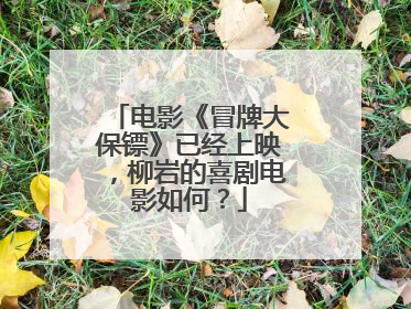 电影《冒牌大保镖》已经上映，柳岩的喜剧电影如何？