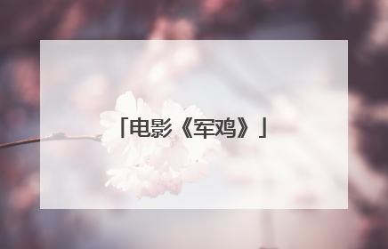 电影《军鸡》
