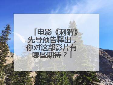 电影《刺猬》先导预告释出,你对这部影片有哪些期待?