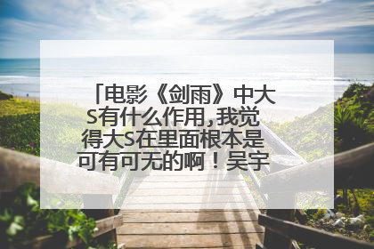 电影《剑雨》中大S有什么作用,我觉得大S在里面根本是可有可无的啊！吴宇森的意图是什么啊？请各位高手解答