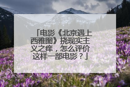 电影《北京遇上西雅图》挠现实主义之痒，怎么评价这样一部电影？