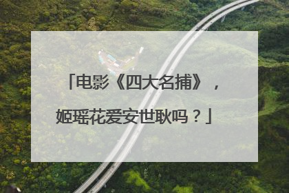电影《四大名捕》,姬瑶花爱安世耿吗?