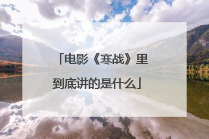 电影《寒战》里到底讲的是什么