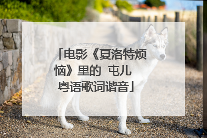 电影《夏洛特烦恼》里的 屯儿 粤语歌词谐音