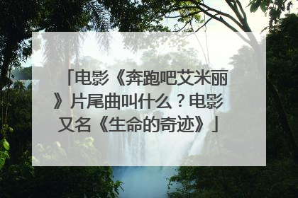 电影《奔跑吧艾米丽》片尾曲叫什么？电影又名《生命的奇迹》