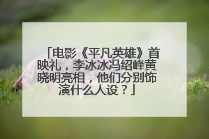 电影《平凡英雄》首映礼,李冰冰冯绍峰黄晓明亮相,他们分别饰演什么人设?