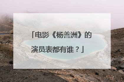 电影《杨善洲》的演员表都有谁？