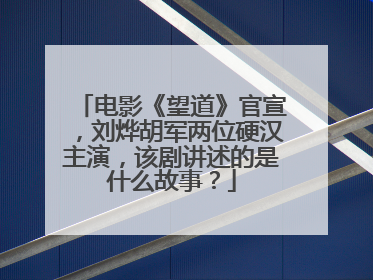 电影《望道》官宣,刘烨胡军两位硬汉主演,该剧讲述的是什么故事?