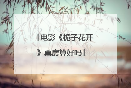 电影《桅子花开》票房算好吗