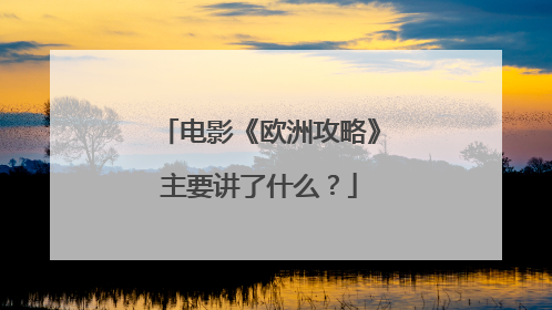 电影《欧洲攻略》主要讲了什么?
