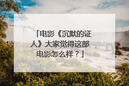 电影《沉默的证人》大家觉得这部电影怎么样?