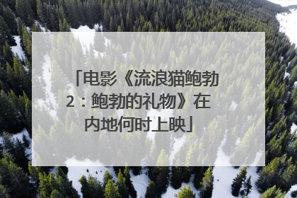 电影《流浪猫鲍勃2:鲍勃的礼物》在内地何时上映