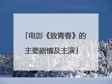 电影《致青春》的主要剧情及主演