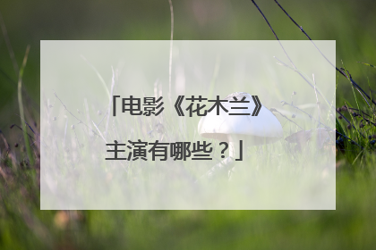 电影《花木兰》主演有哪些?