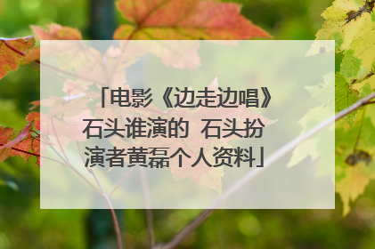 电影《边走边唱》石头谁演的 石头扮演者黄磊个人资料