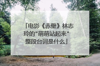 电影《赤壁》林志玲的