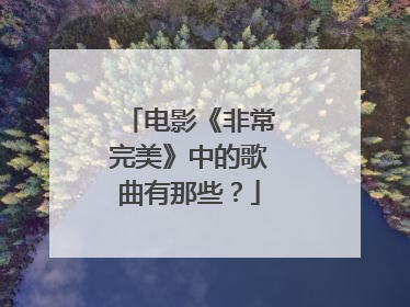 电影《非常完美》中的歌曲有那些？