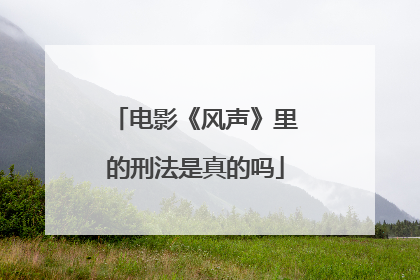 电影《风声》里的刑法是真的吗