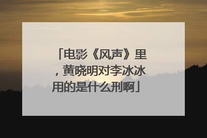 电影《风声》里,黄晓明对李冰冰用的是什么刑啊