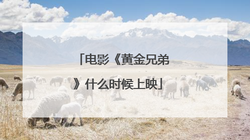 电影《黄金兄弟》什么时候上映