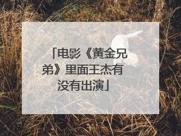 电影《黄金兄弟》里面王杰有没有出演