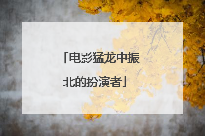 电影猛龙中振北的扮演者