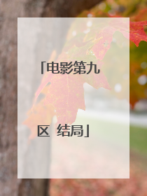 电影第九区 结局
