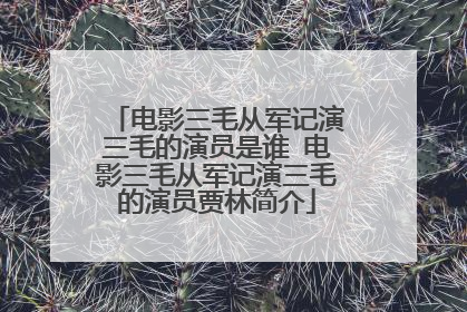 电影三毛从军记演三毛的演员是谁 电影三毛从军记演三毛的演员贾林简介