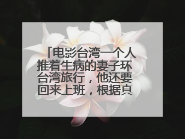 电影台湾一个人推着生病的妻子环台湾旅行，他还要回来上班，根据真实的故事改编的电影叫什么名字