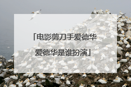 电影剪刀手爱德华 爱德华是谁扮演