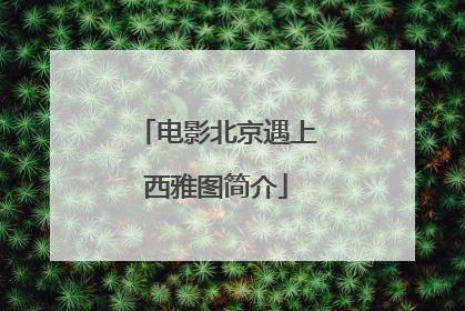 电影北京遇上西雅图简介